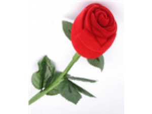 Red Rose Flower  Jewelry Storage Box