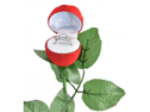 Red Rose Flower  Jewelry Storage Box