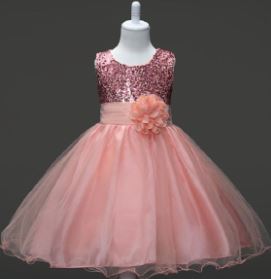 Baby Girl Short Sleeve Dress